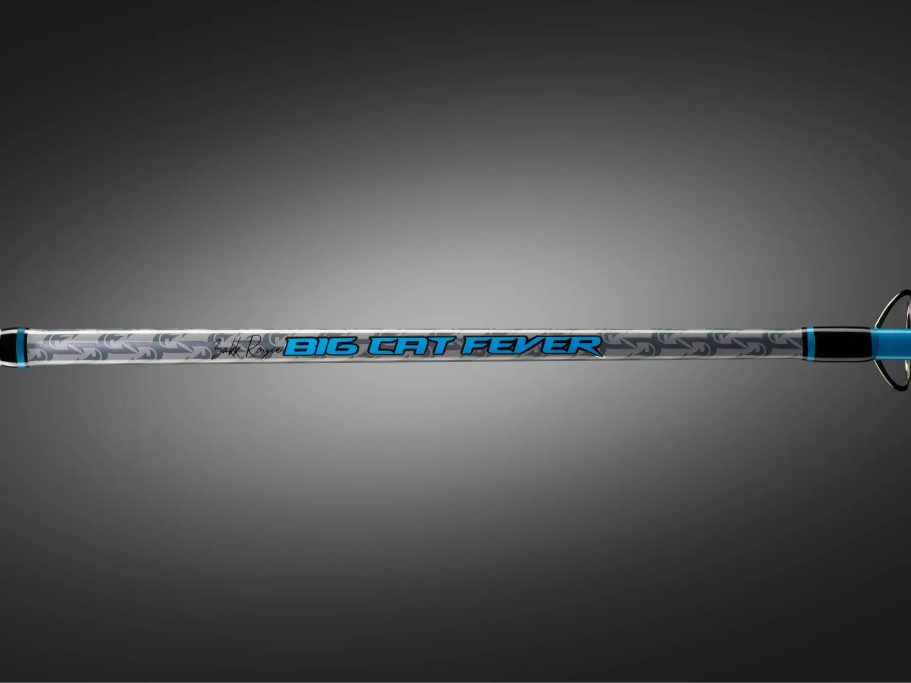 deep sea fishing pole Deep Sea Fishing Rod and Reel Stock Image