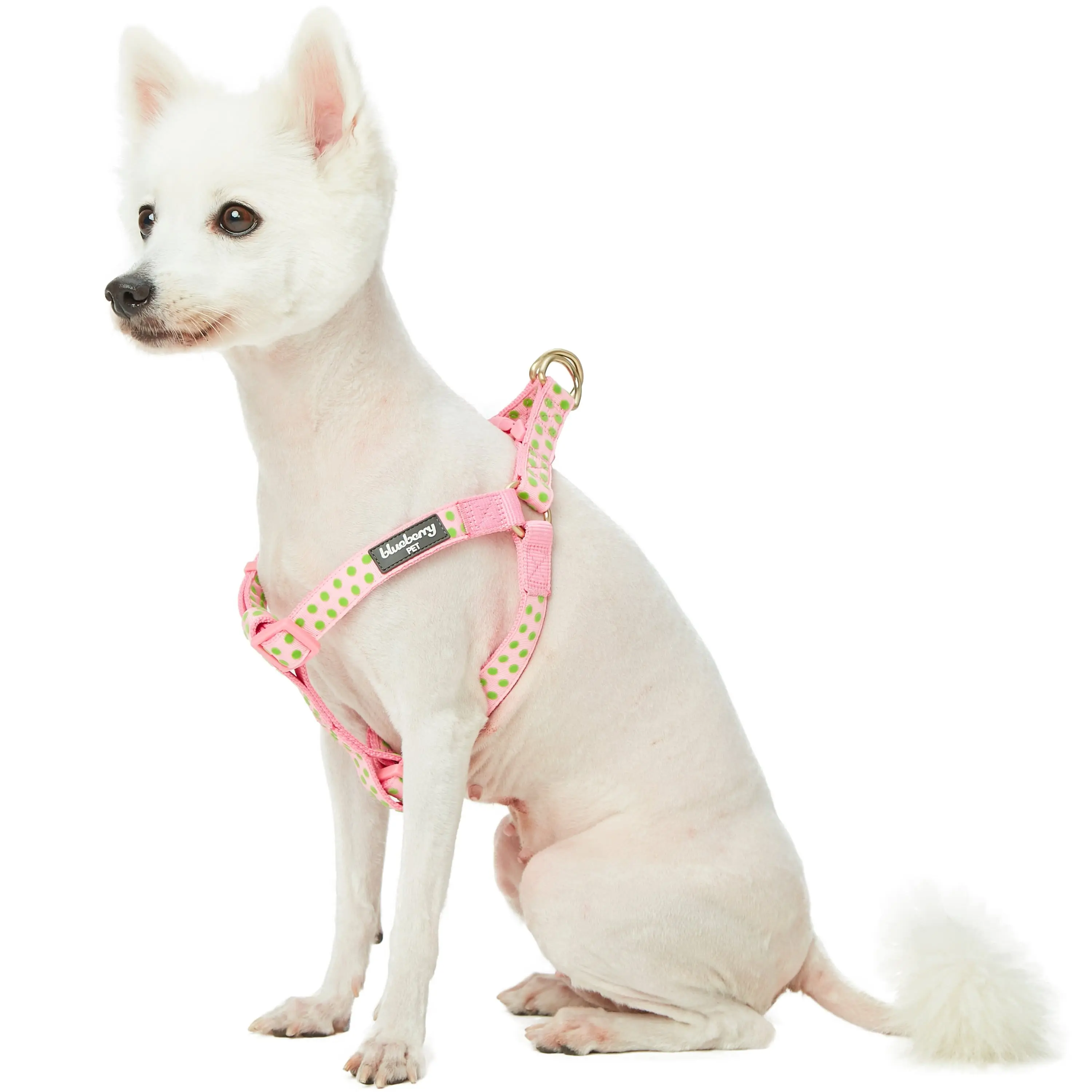 Soft Touch Dotted Velvet Dog Harness Pink Green Chic Comfort