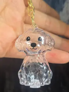 Cute Dog Hair Storage Hanging Decoration, Transparent Pet Fur Capsule Keychain Pendant, Memorial Charm, Decorative Accessory