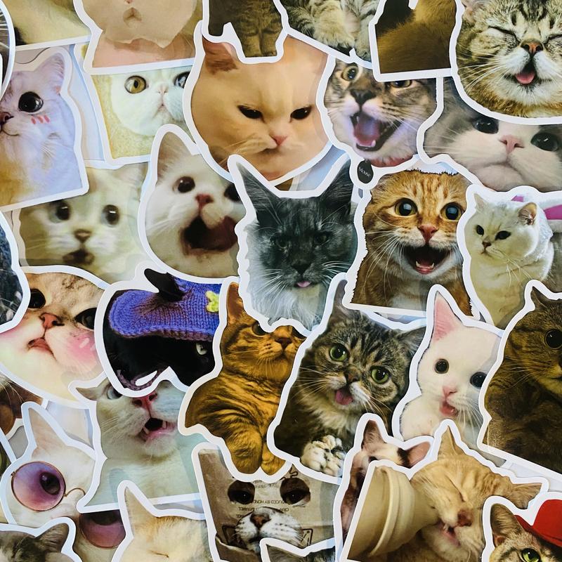 100 Pcs Meme Cat Stickers, Funny kitten stickers for Laptops Phones & Notebooks Adorable Cat Designs Cute Kitten Waterproof Stickers
