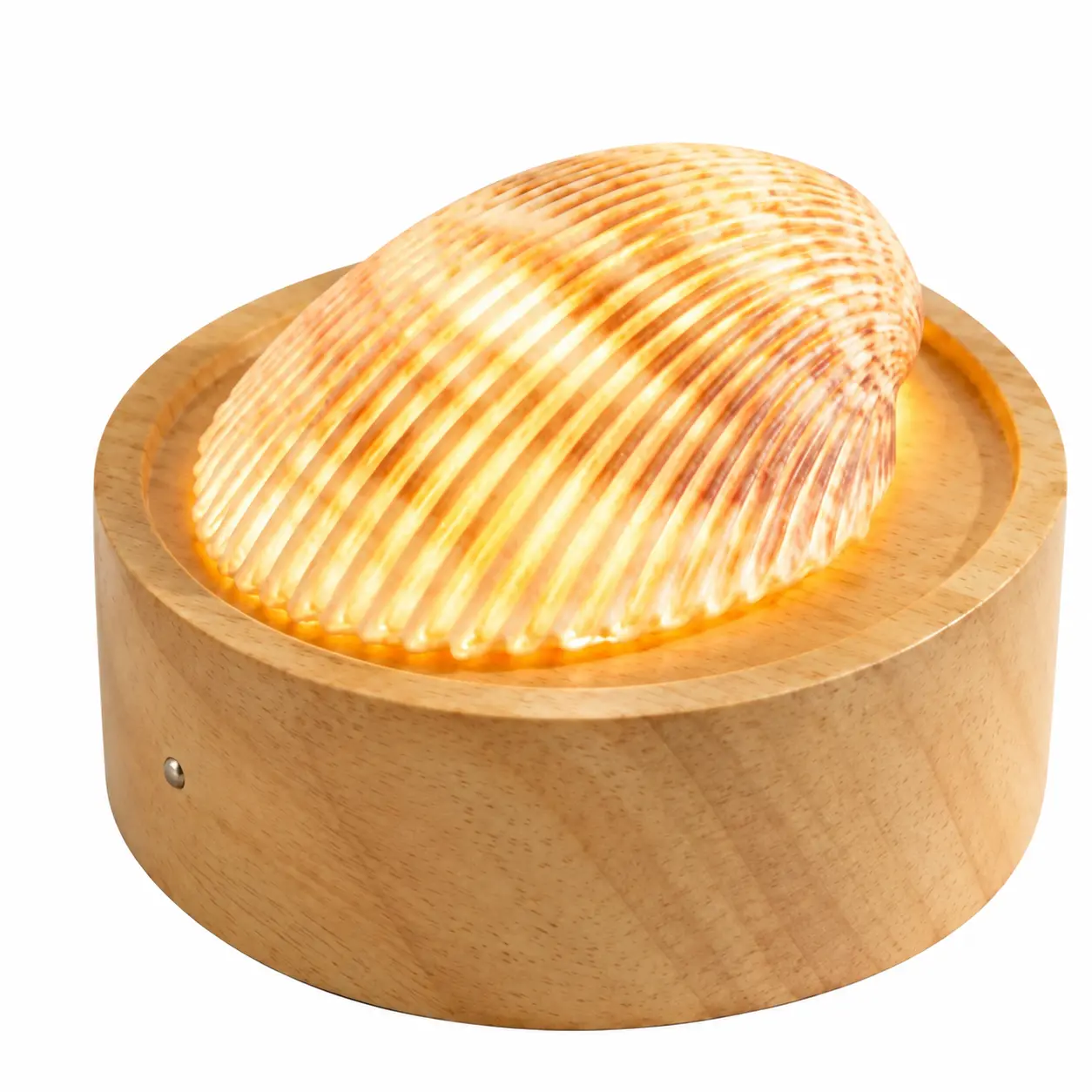 MOBLAS Real Sea Shell Rechargeable Touch-Dimmable Warm White LED Decoration Lamp, Coastal Home Decor, Decorative Atmosphere Night Lighting, Novelty LED Lighting for Bedroom Bathroom Beach House Decorative Lighting Decorative Atmosphere Lighting