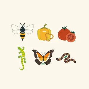 Vego Sticker Kit - Assorted Designs for Customizable Stickers - Ideal for Personalization and Decoration Vego Sticker Kit - Assorted Designs for Customizable Stickers - Ideal for Personalization and Decoration