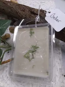Cedar - Wax Melt - Clamshell