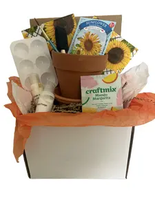 Decoupage Flowerpot