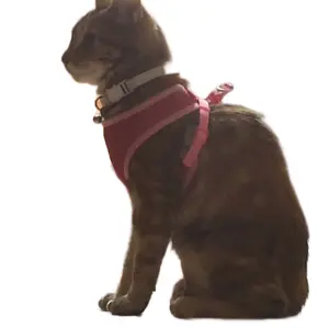 Voyager Step-in Air Dog Harness – All Weather Mesh, Reflective, No Pull Harness for Small/Medium Dogs, Cats (Size L, Fuchsia 2-Tone).