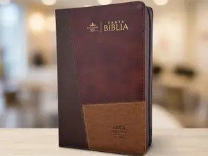 Biblia RVR 1960 Colección Iconic Café Letra Gigante 14 Puntos Con Índice y Cierre Tamaño Manual
