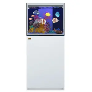 Aqua Dream 63-Gal Large Modern Square Saltwater Coral Reef Aquarium Fish Tank - Low-Iron Ultra-Clear Glass, Built-In Sump, Aquarium Filter, Collecting Net, Seamless Complete System, Aquarium Filter Aquariums, Collecting Net Aquariums