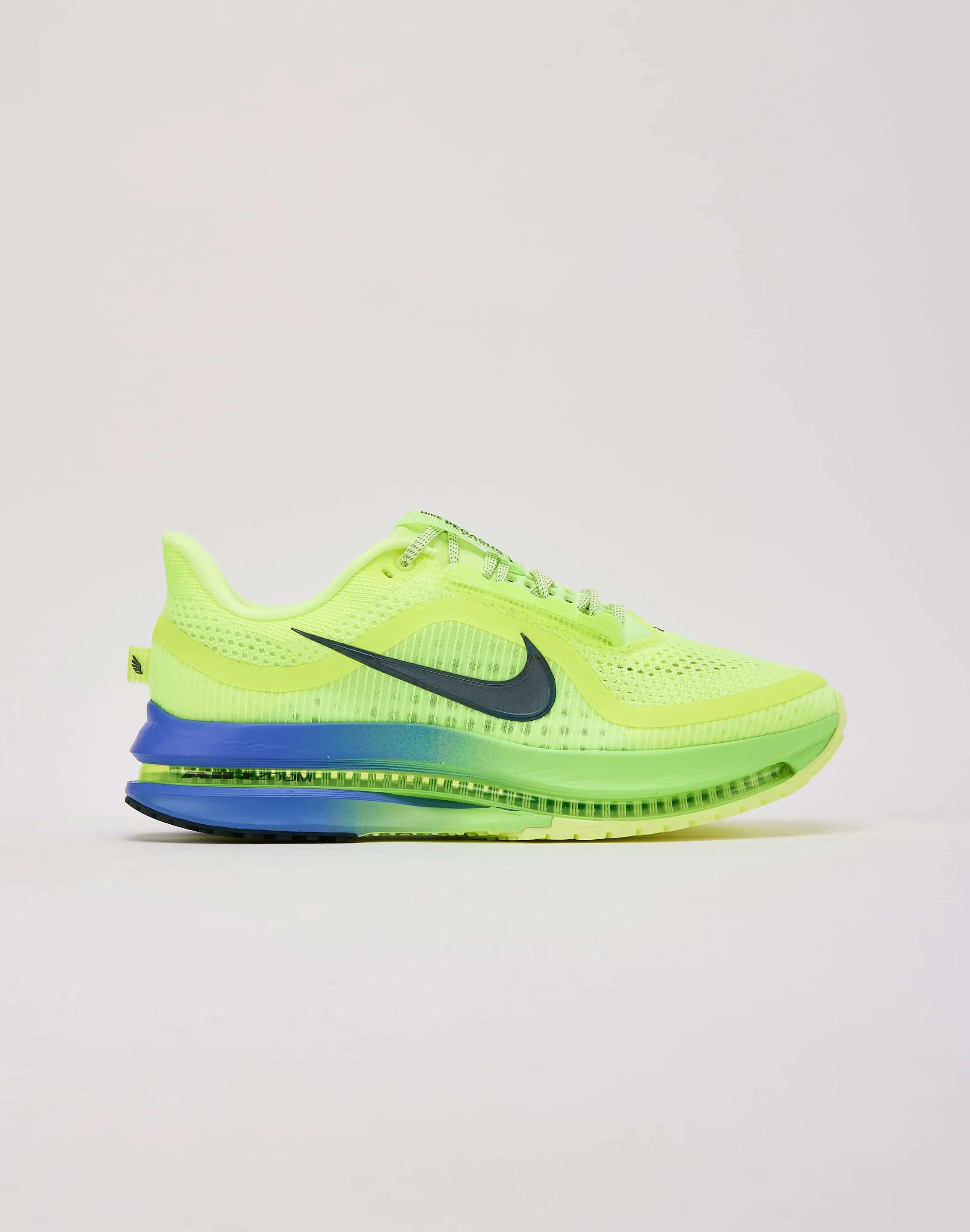 Mens Nike Pegasus Premium