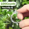 100-Count Easy-to-Use 3cm White Plastic Buckle Clips, Wear-Resistant High-Temperature Resistant Gardening Accessories for Outdoor Garden Tomato Vine Upright Lifting