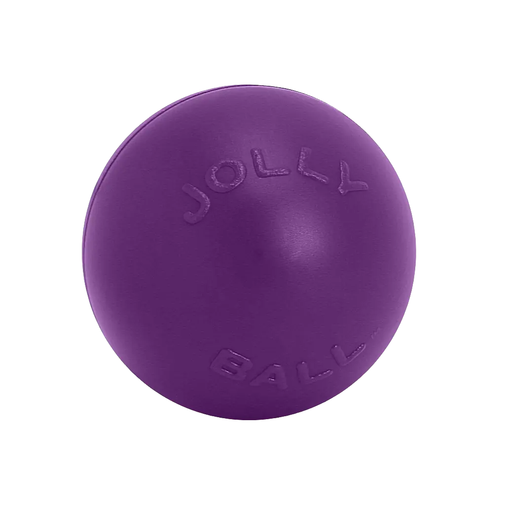 Jolly Pets Push-n-Play Durable Dog Ball – Tough, Rolling, Floating Toy for Active Canines