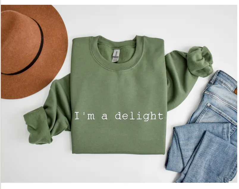 Im a Delight Sweatshirt Funny Sarcastic Sweater Sarcastic Funny Sweatshirt Sassy Sweater Screen Print Sweatshirt Womens Funny Pullover Womens Sarcastic Hoodie Casual Comfort Womenswear Comfortable Fabric Long Sleeve Fit