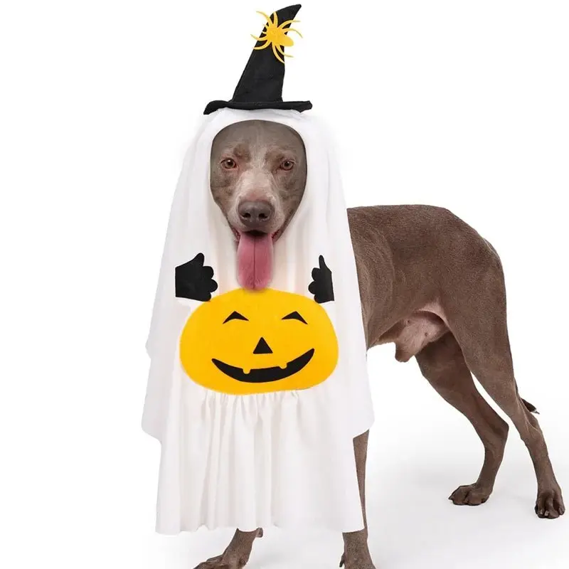 Pumpkin Ghost Costume