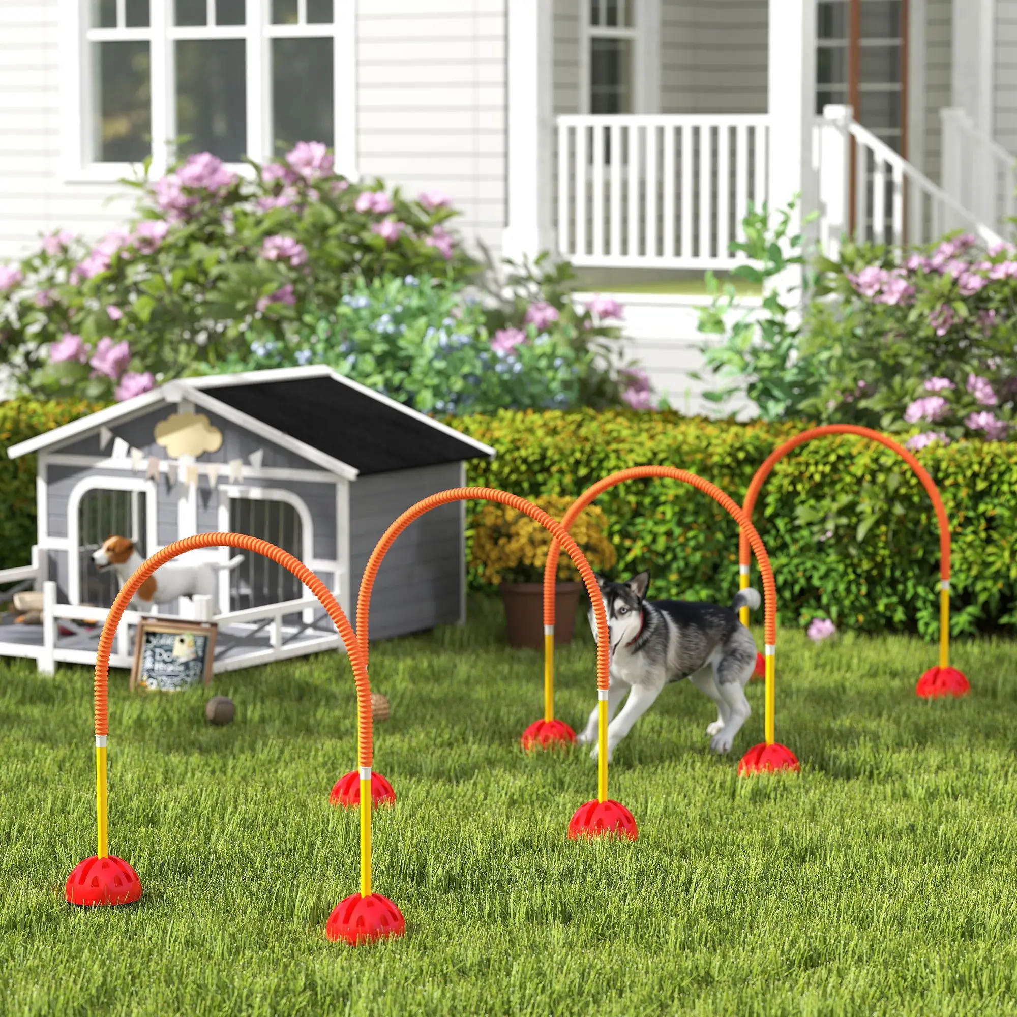 Dog Agility Equipment