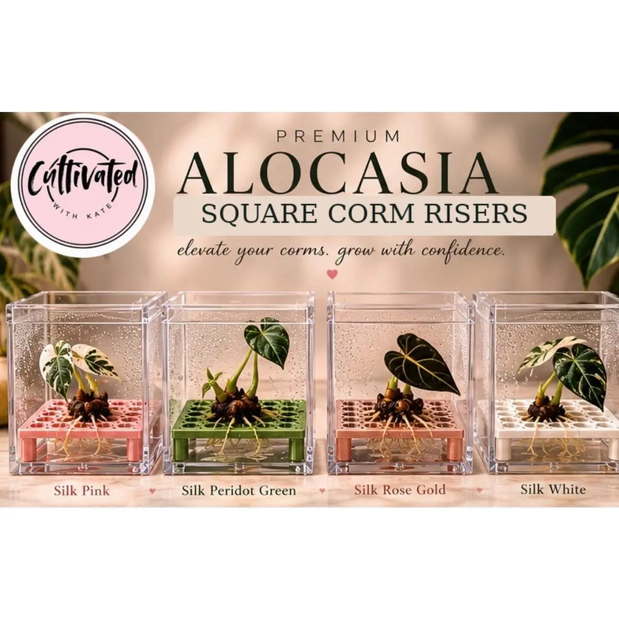 Square Corm Riser Bundle - Includes Risers + Containers, 3D Printed Display Boxes, Silk Organiser (Updated)
