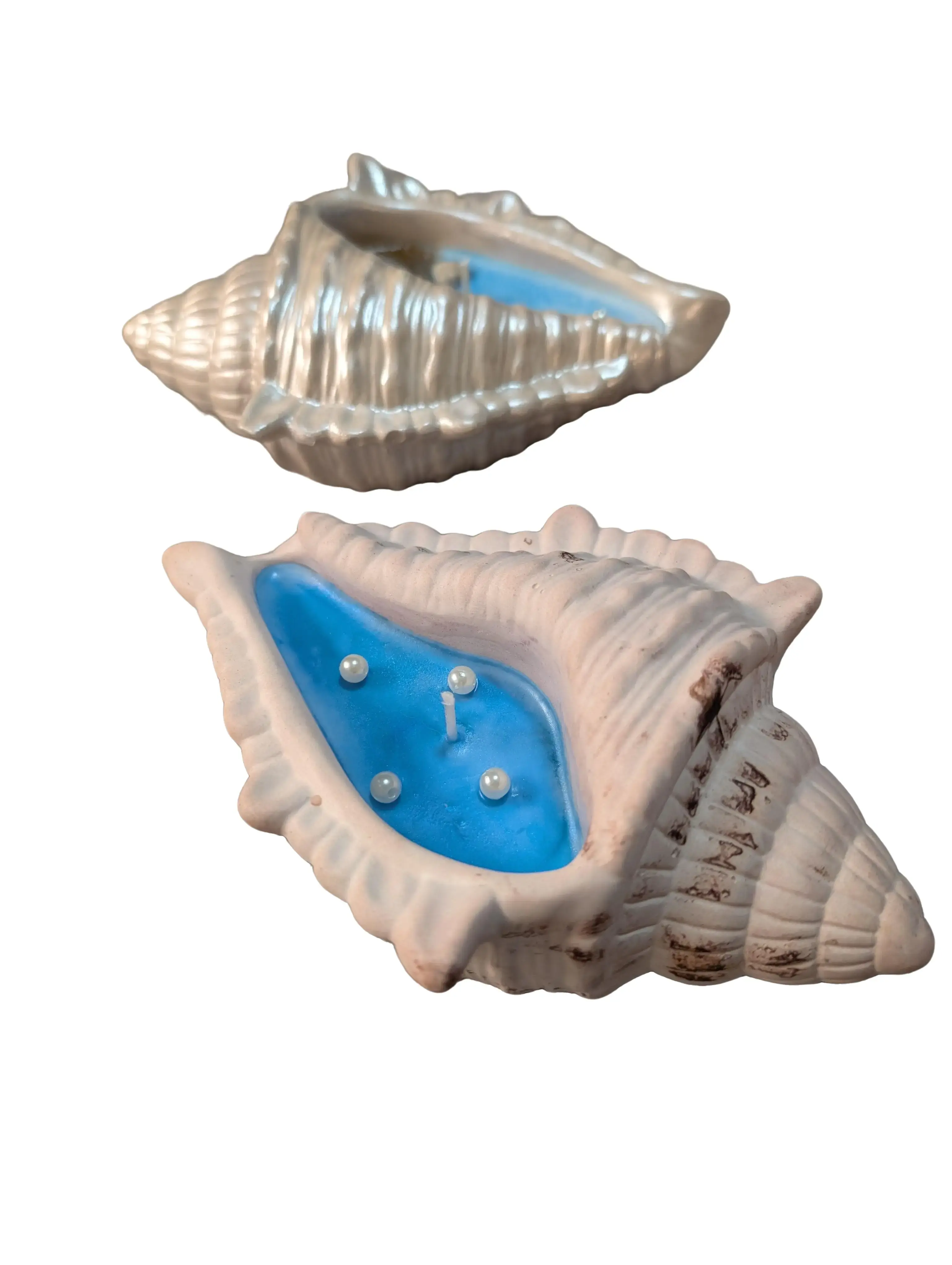 Sea shell candle candles