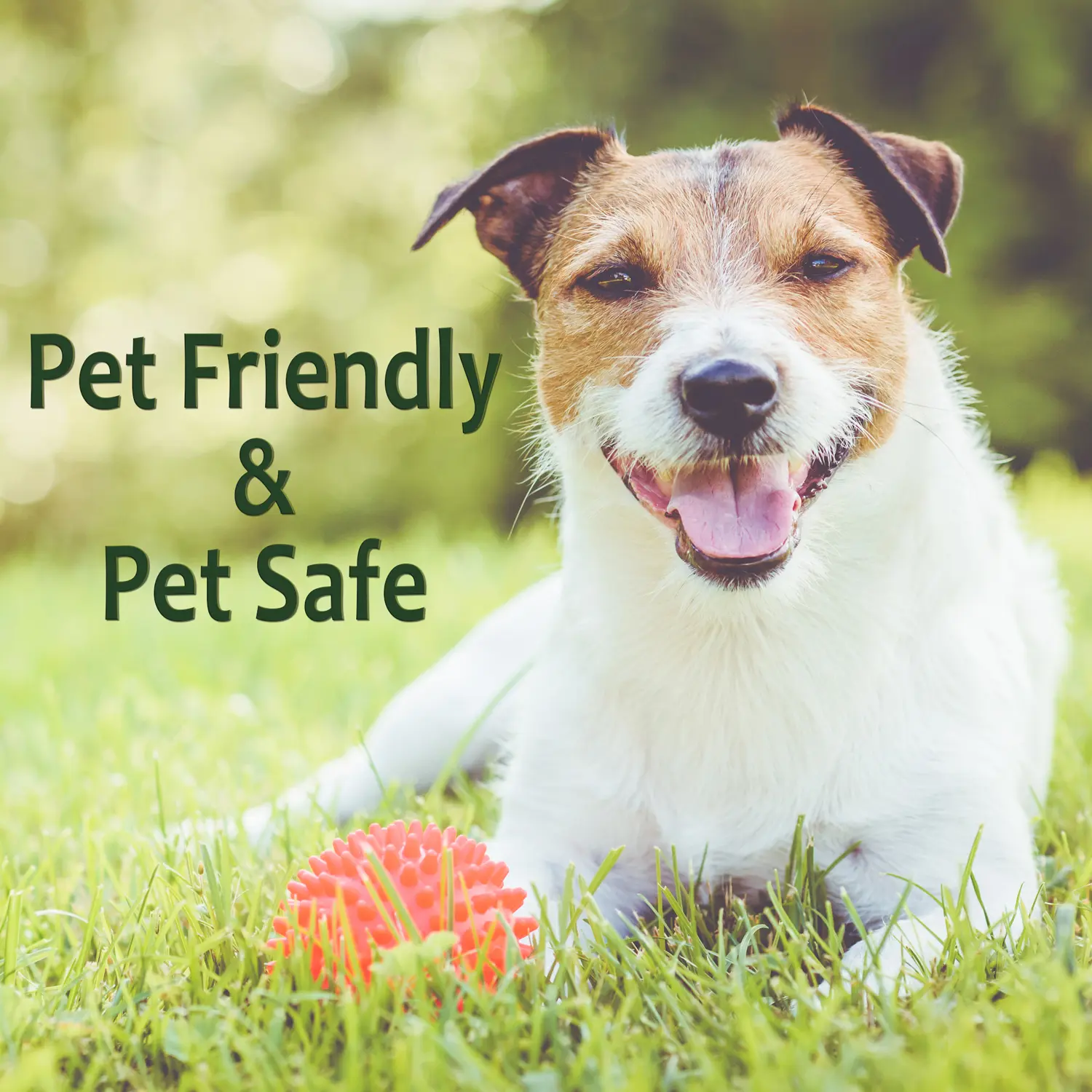 Just For Pets Weed Killer Spray (32 oz Quart) NO Glyphosate