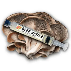 Blue Oyster (Pleurotus Ostreatus) Liquid Culture