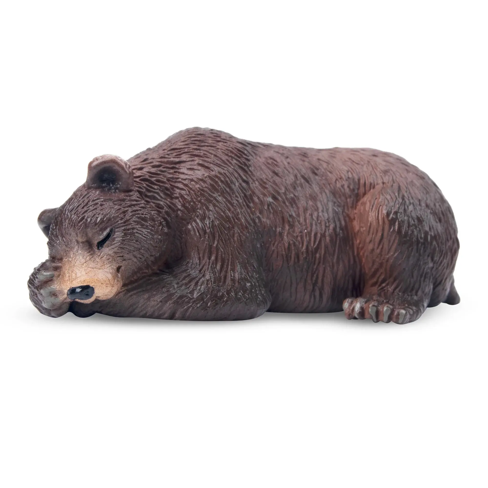 Toymany Hand-Painted Mini Brown Bear Figurine – Realistic Animal Model, Ideal for Early Education, Montessori Sensory Play, Cake & Party Decorations, Desk & Home Décor, Thoughtful Gifts, and Collectible Figurine for Enthusiasts