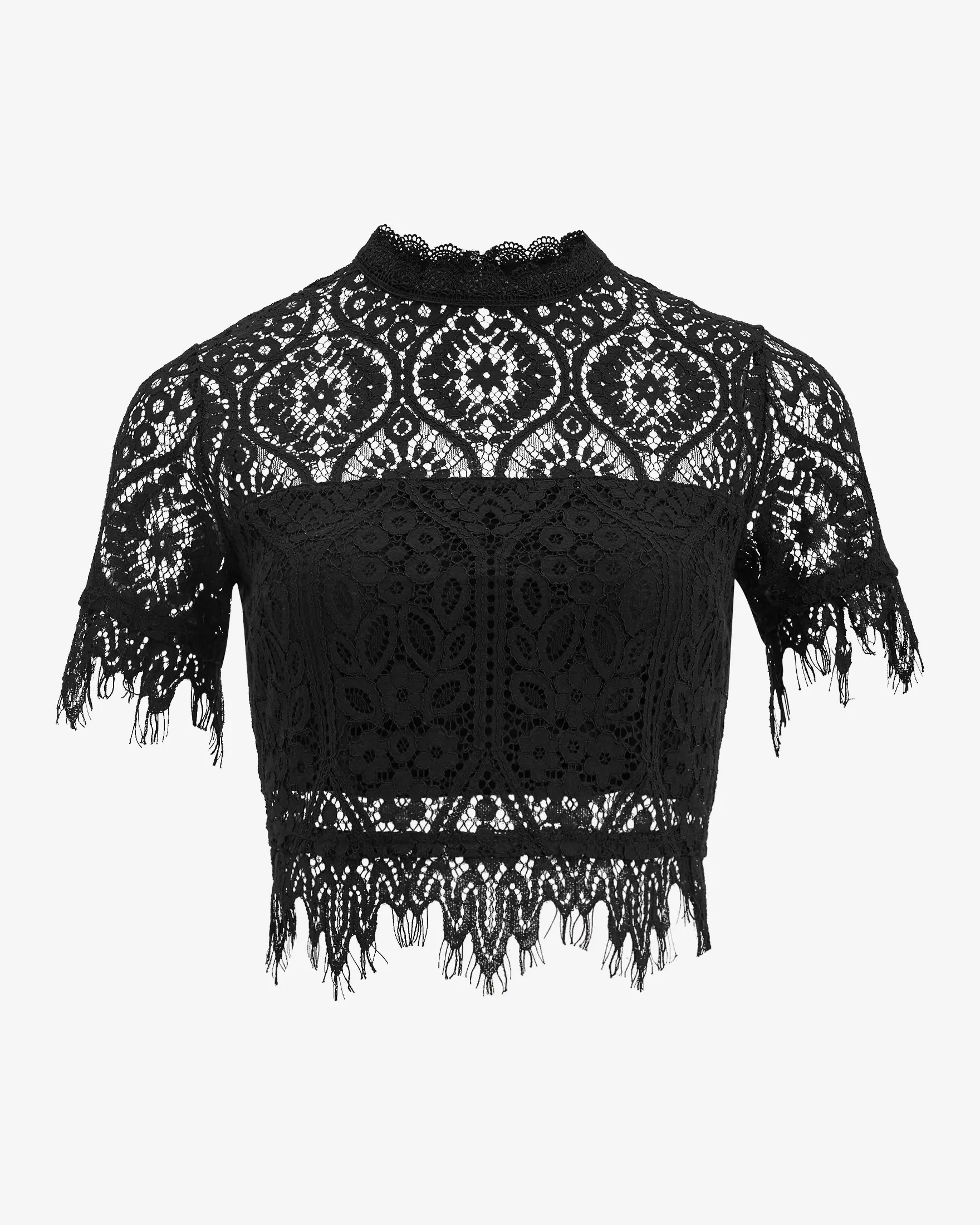 Express Lace Crew Neck Short Sleeve Top