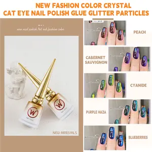 2025 New Nail Salon Double Light Smokey Crystals Cat Eye Nail Polish Gel