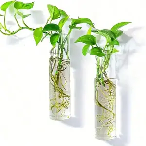 Minimalist Wall Vases, Elevate Your Living Space, High-Transparency Glass, Creative Displays, Home Decor, Modern Design