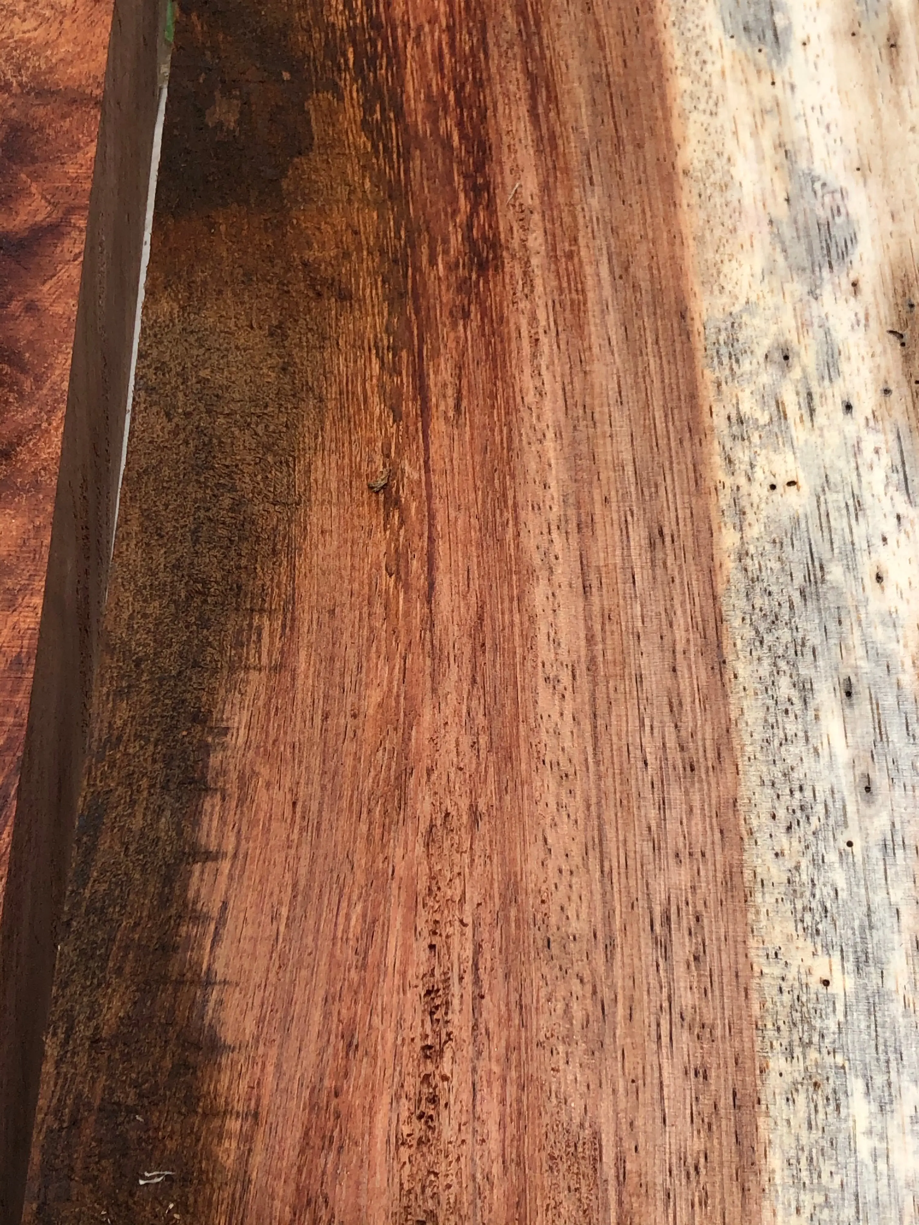 Reclaimed monkeypod wood for turning live edge 2@24”x2-8”x2”