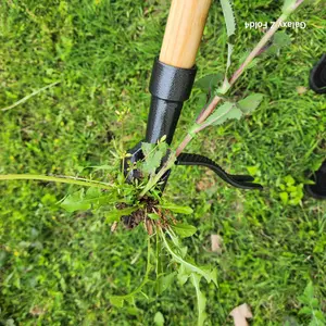 Grampa's Weeder - The Original Stand Up Weed Puller Tool with Long Handle - Made with Real Bamboo & 4-Claw Steel Head Design - Easily Remove Weeds Without Bending, Pulling, or Kneeling