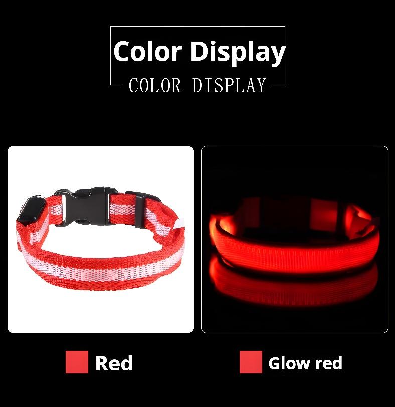 Collar (Glow) - Dog Collar Nylon LED Night Safety Flashing Glow In The Dark Pet Dog Leash pet Dogs Luminous Fluorescent  dog accessories collar night safety Rechargeable reflective cat