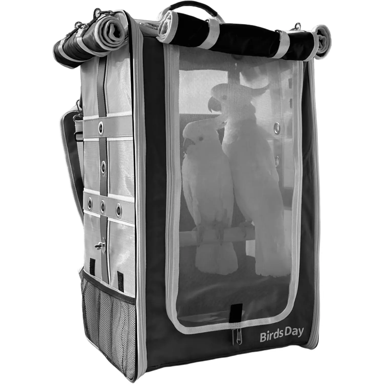 Birds Day Cockatoo Carrier Backpack-Parrot Travel Cage with Wooden Perch and Food Bowl, Stainless Steel Tray (Charcoal Gray, Cockatoo & Similar)