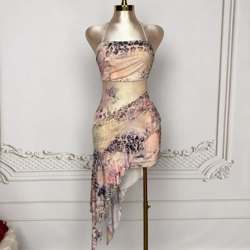 Mesh Tango Dress