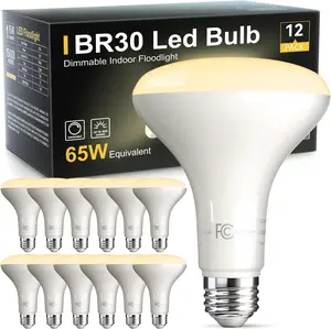 12 Pack BR30 Flood Light Bulb Indoor, 65W Equivalent  Led Recessed Lights Bulb, 2700K Soft Warm White, E26 Base Bulbs for Kitchen Ceiling, Recessed Can, Replacement Incandescent, 9W,800LM