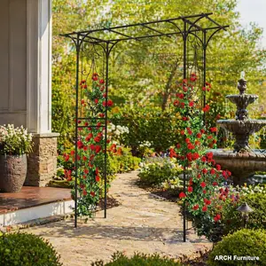 Black Metal Rose Arch with Anti-Rust Metal Frame, 80.3''L x 20.47''W x 81.1''H Pre-Cut Outdoor Decor, Backyard Garden Accessory for Climbing Rose Plant Support,summervibes
