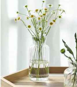 1pc Mini Glass Flower Vase, Ins Style, Decoration For Home, Hotel, Restaurant, Hydroponics