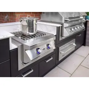 Twin Eagles Built-In 24" Gas Power Burner with Reversible Heavy Duty Grate & Stainless Steel Lid