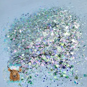 "Northern Magic" Custom Mix / Silver/Purple Chunky Glitter / Iridescent & Holographic Mix