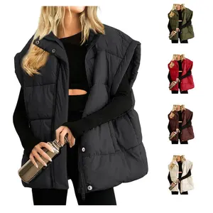 Casual Puffer Vest Stand Collar Full Zip Sleeveless Bubble Puffer Vest Quilted Padded Warm Coat Outwear