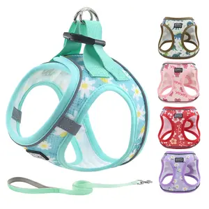 Adjustable Dog Harness & Leash Set, 1 Count Reflective Breathable Dog Leash, Pet Supplies for Outdoor Walking, Dog & Cat Accessories