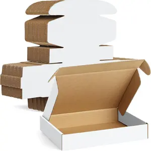 30 Pack 11x8x2 Inch Small Shipping Boxes White Corrugated Cardboard Boxes Mailer for Small Business, Mailing Boxes for Packaging Bulk