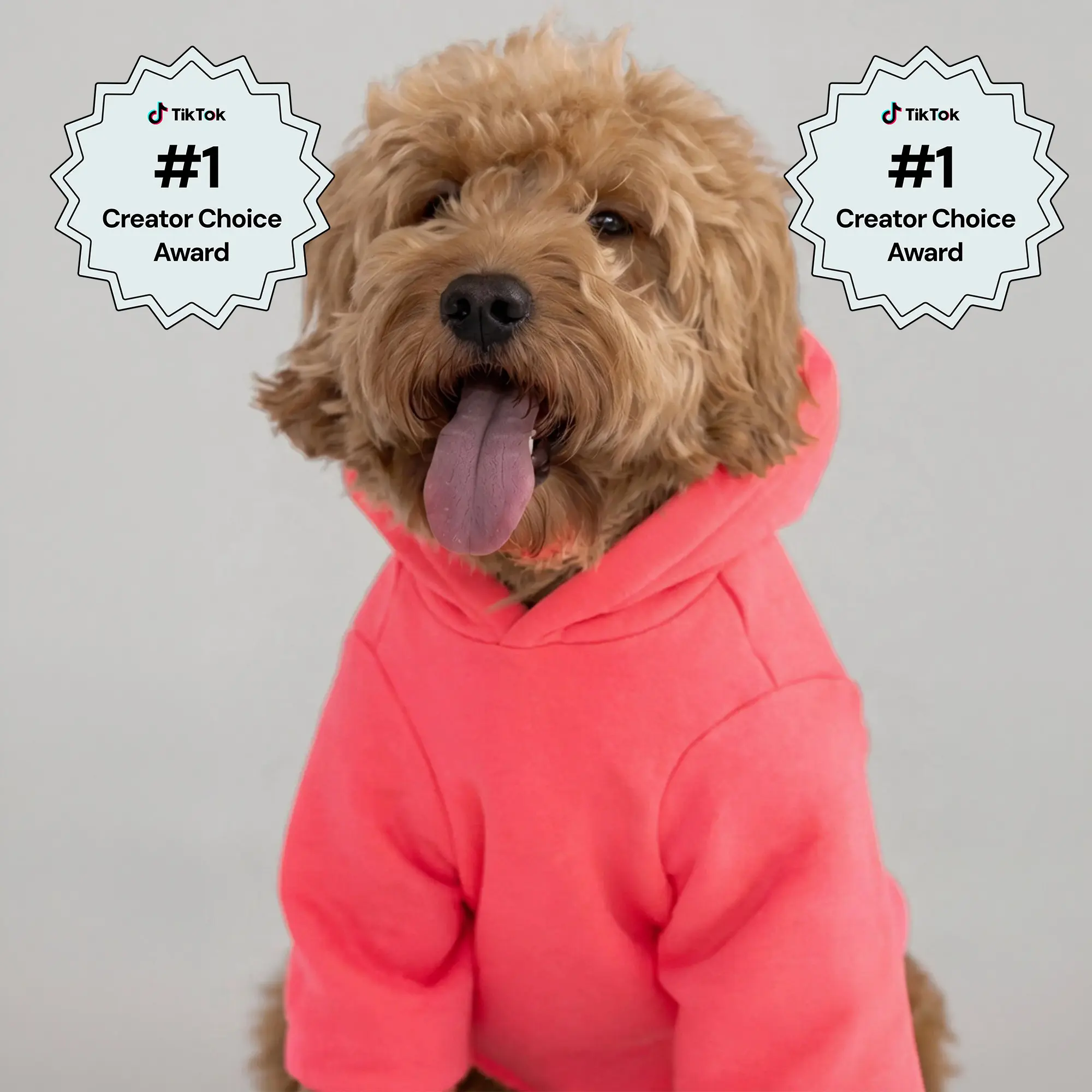 Comfrt | Neon Tranquil Paw Hoodie | Midweight Fleece Dog Hoodie In Vibrant Neon Colors