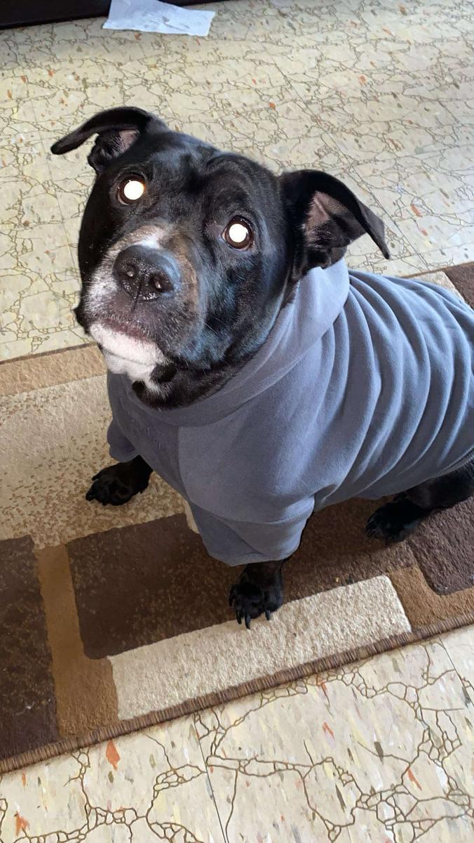 Item: Steel Grey, 2X