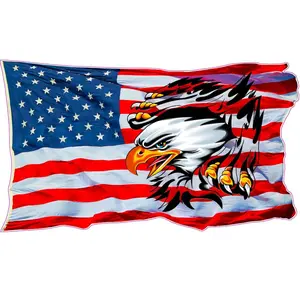 Ripped American Flag Eagle Decal