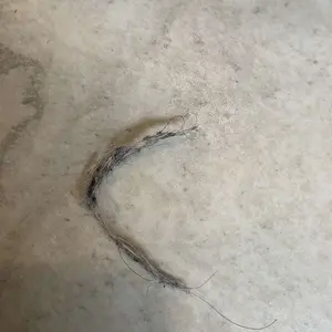 Upgrade Pet Hair Remover Electrostatic Gloves, Reusable Pet Hair Removal Glove for Cats & Dogs, Premium Cat & Dog Hair Remover Mitt for Couch Furniture Carpet Car Seat