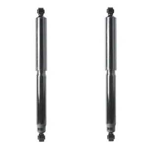 Garvee Rear Pair Complete Shock Absorbers Assembly Compatible for 2004-2010 F-150,2006 -2008 Lincoln Mark - 911262