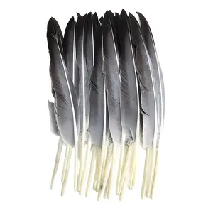 11 Pcs Grey Artificial Feathers, 11.02–12.60in in Length, Exquisite Batch Long Feathers, Suitable for Handicrafts, Size 28-32cm, Large-sized Natural Goose Grey Feathers, Suitable for Wedding Dresses and Party Decorations, DIY Handicrafts (grey).