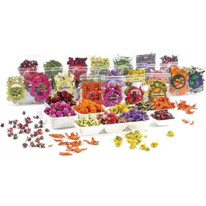 Natural Dried Fruit and Flower Kit for DIY Crafts - 25 Bags, Ideal for Soap Making, Candle Making, Resin Jewelry, Bath Bombs, and Nail Art - Includes Rose Petals, Rosebuds, Lilium, Jasmine, and More
