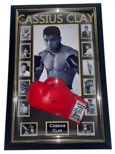 STEINER Cassius Clay aka Muhammad Ali Signed Boxing Glove Hologram Poster 8x12 inches Unframed High Quality Photo Paper Museum Quality Matte Paper Gift for Special Events