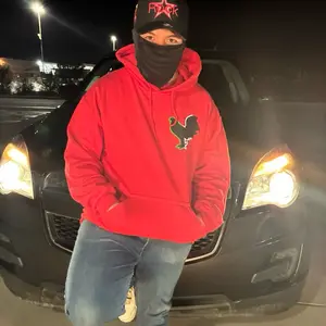 Sudadera/hoodie de gallo tricolor