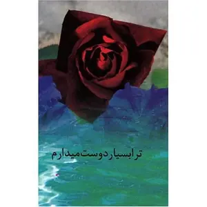 USED-I Love You Very Much = Tora Bsyar Doost Medarm (Farsi Edition) by Maryam Rastegar (Unknown)