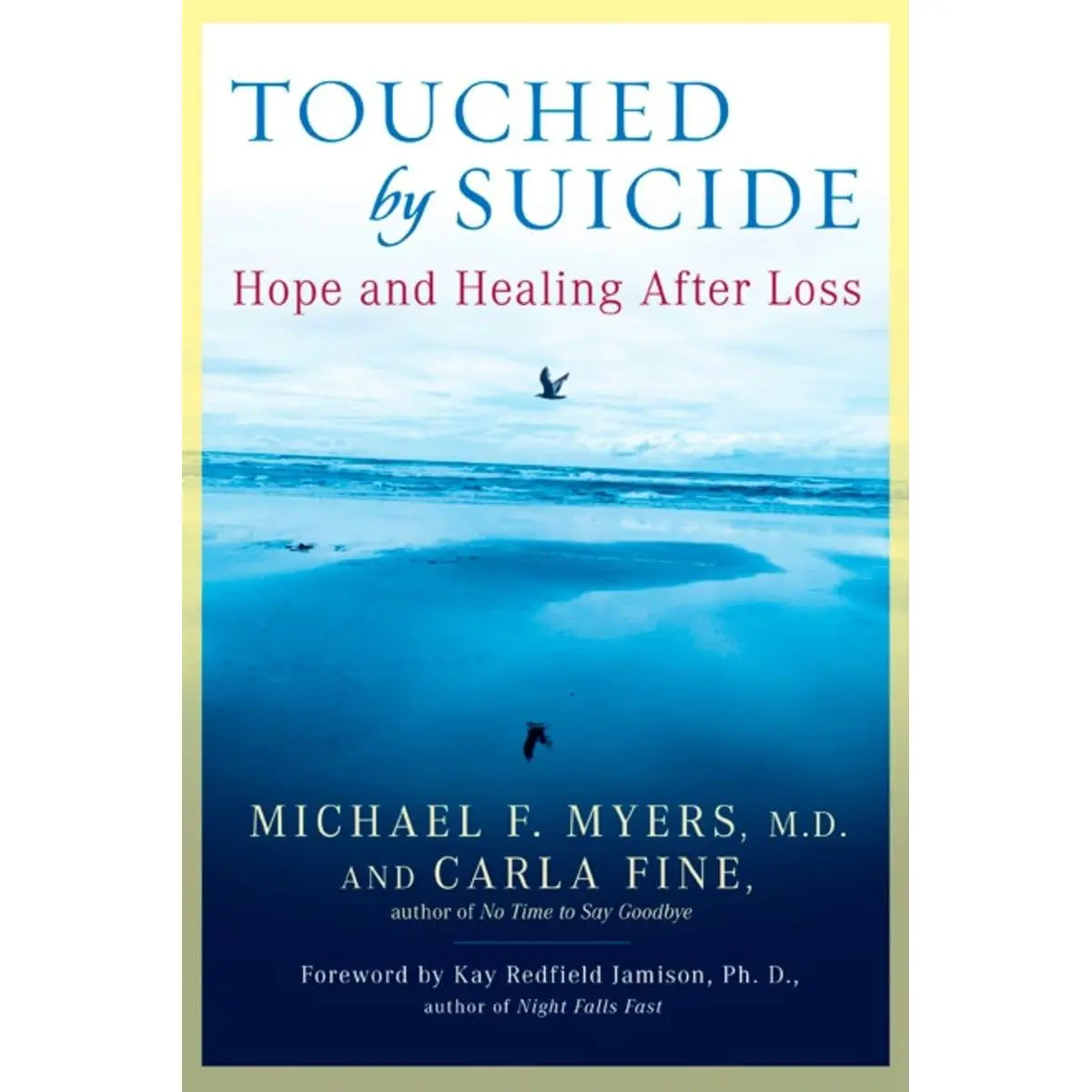 Touched by Suicide: Hope and Healing After Loss Paperback – September 7, 2006