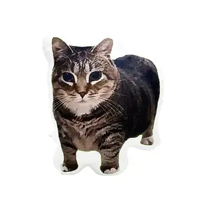 Internet celebrity oiiai plush realistic kitten funny pillow stuffed toy